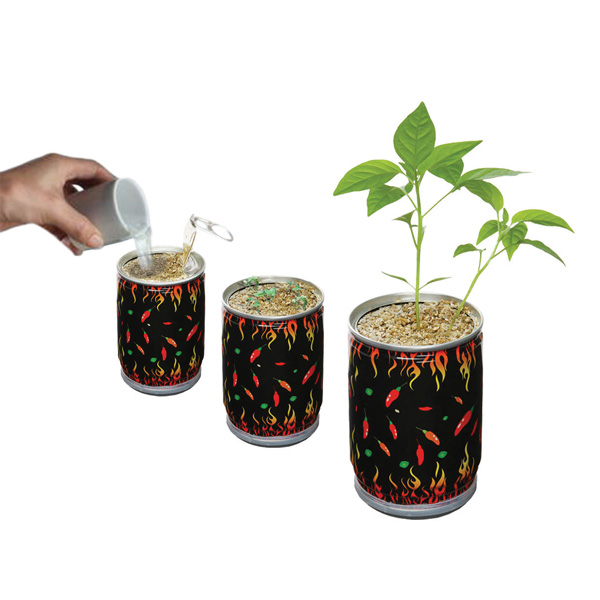Trinidad 7 Pot Douglah Pepper Seed Grow Kit