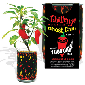 Ghost Chili Pepper Kit Canada