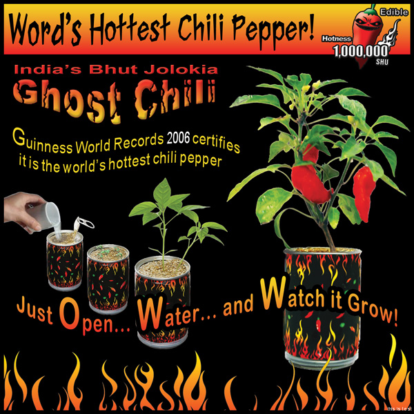Ghost Chili Pepper Kit Canada