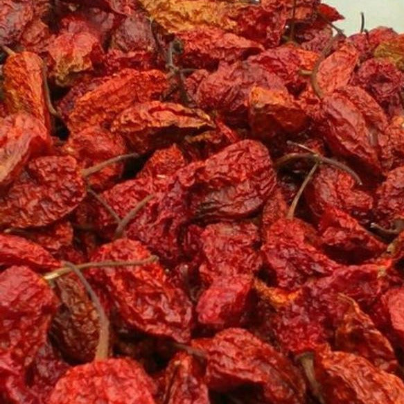 Dried Ghost Peppers Canada