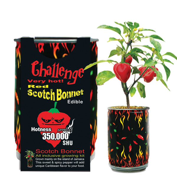 Scotch Bonnet Growing Kit Canada